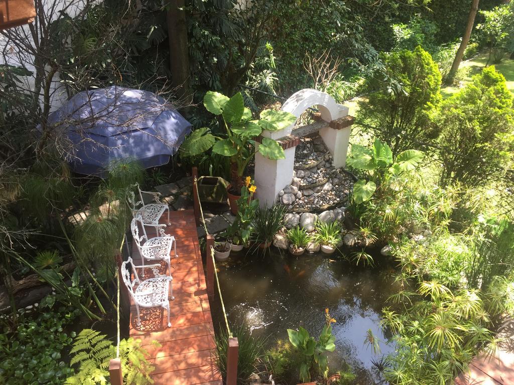 Villas Sol Y Luna Coyoacan Mexico City Luaran gambar